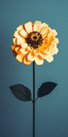 a white flower with a leaf attached to it, captured in the style of dark sky-blue and orange hues. the photograph showcases minimal retouching, with a touch of vintage aesthetics. the color palette includes dark yellow and teal, creating a bold saturation. this captivating image is the work of joel robison, an innovator known for his unique use of light yellow and black tones. aiの素材