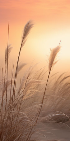 a beach hut with grass in front of it at sunset, featuring a romantic soft focus and ethereal light. the image showcases attention to fur and feathers texture, with a color palette of light gold and orange. delicate flora depictions add to the overall aesthetic, while a smokey background creates a sense of mystery. fine lines and delicate curves capture the essence of nature. aiの素材