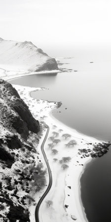 aerial photo of a monochromatic graphic design style cliff near a body of water, adorned with trees. the snow scenes and photographically detailed portraitures create an orientalist landscape. captured with a canon eos 5d mark iv, the image showcases a light white and black color palette. photographed by fenghua zhong. ai generatedの素材