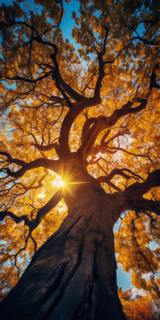 a stunning sunset photo capturing the grandeur of a giant gnarly old tree adorned with blue and yellow leaves. the upshot perspective and upward angle shot provide a captivating bottom-up view, showcasing the intricate scale of the tree against the ethereal atmosphere of the golden hour. this skyward view creates a fantasy-like ambiance. ai generatedの素材