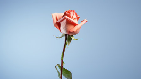 a photo of a beautifully edited bouquet of roses, featuring a mix of white, paper, and light sky-blue and light orange roses. this conceptual minimalistic composition captures the graceful balance of colors and textures. the photo is inspired by the works of artists like elke vogelsang, sebastian errazuriz, bess hamiti, and the cinestill 50d film. ai generatedの素材
