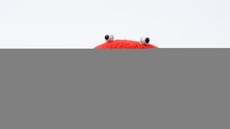 red crab knitted with black tassel and eyes, captured in a close-up shot with softbox lighting. this unique creation showcases a minimalist and monochromatic style, reminiscent of dutch seascapes. photographed using a konica big mini camera, this image is perfect for websites or platforms like sketchfab. ai generatedの素材