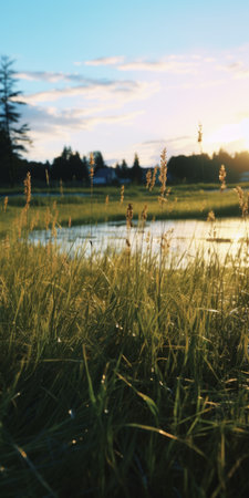 a serene and picturesque landscape featuring a vast green field, a meandering creek, and a soft ethereal light. this uhd image captures the beauty of norwegian nature with a touch of romance. shot with a rollei prego 90 and a nikon fm2, the scene is bathed in a warm light amber and navy tones, enhanced by enchanting god rays. ai generatedの素材