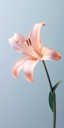 a pink lily captured in a hyper-detailed, realistic style, showcasing light orange and light gray hues. this stunning illustration, created using cinema4d, exudes a delicate minimalism that is reminiscent of the eastern zhou dynasty. the hyperrealistic rendering brings out the intricate beauty of the lily, making it a captivating piece of art. ai generatedの素材