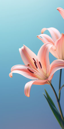 two pink and white lilies beautifully arranged on a blue paper, resembling a hyperrealistic rendering in the style of unreal engine. the light sky-blue and light orange hues add a touch of vibrancy to the image. captured with utmost precision, this uhd photograph by carl kleiner showcases the intricate details and realistic rendering of the lilies in stunning close-up shots. ai generatedの素材