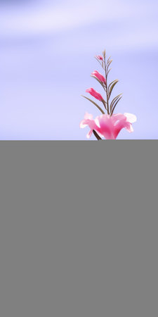 pink flowers gracefully float in the water, their delicate petals capturing the essence of beauty. rendered in cinema4d, this artwork showcases the realistic detail and minimalistic charm. the vibrant blue skies, reminiscent of the shang dynasty, provide a stunning backdrop, while the skillful use of zbrush brings a lifelike depiction of light. ai generatedの素材