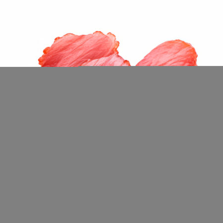 red deer liver, enclosed in a vibrant red pouch, stands out against a clean white background. the artistic composition features translucent overlapping layers of light pink and pink fibers, reminiscent of the song dynasty's chromatic sculptural slabs. captured with fujifilm velvia, the image showcases sharp angles and intricate details. ai generatedの素材