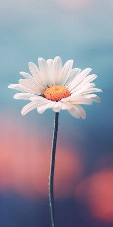 a flower in the water, against a blue sky backdrop, captured in the style of mandy disher. this pastel-toned photograph by marguerite blasingame showcases backlit photography, with soft gradients and a touch of cartoonish innocence. the dark white and orange hues add depth and vibrancy to the image. ai generatedの素材