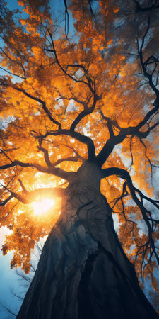 a stunning sunrise photo captures the grandeur of a giant gnarly old tree adorned with blue and yellow leaves. the upshot, upward angle shot showcases the intricate details of the tree's branches against the ethereal atmosphere of the golden hour. this skyward view offers a fantasy-like perspective, emphasizing the tree's majestic scale. ai generated