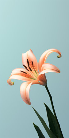 the lily flower takes center stage in this picture, showcasing its vibrant colors of light orange and sky-blue. the realistic hyper-detailed rendering captures every intricate detail, with minimal retouching. the photo, found on flickr, features a beautiful combination of light pink and dark green, creating a graceful balance in this hyper-realistic still life. ai generatedの素材