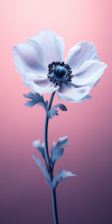 a white flower stands out against a vibrant pink background in this hyper-realistic photo. rendered in cinema4d and indigo, the flower's delicate details are brought to life. the gray hues add an eerie touch to the composition, creating a captivating contrast. the norwegian nature serves as a stunning backdrop, while the light azure and black tones enhance the overall atmosphere. this high-resolution photo in 8kの素材