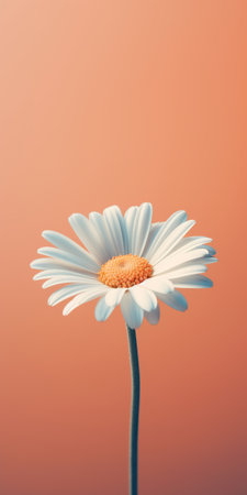 a daisy with hyper-realistic details is showcased against a tangerine background in this ambient occlusion style photograph. the minimal retouching enhances the crisp and clean appearance, while the dark white and light pink hues create a stunning contrast. this realistic rendering captures the beauty of the daisy in a breathtaking manner. ai generatedの素材