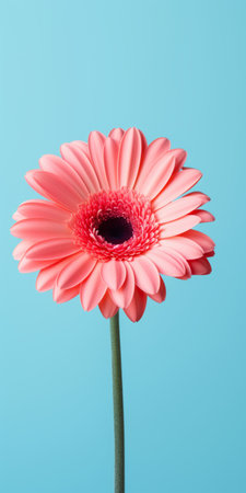 pink gerbera flower flat lay on a vibrant turquoise background. this stunning photo showcases the flower's beauty with a touch of post-processing. the simplified yet eye-catching style, inspired by zbrush, combines light orange and light navy tones. the hyper-realistic and observational approach captures every intricate detail, making this image truly captivating. ai generatedの素材