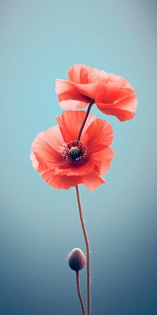 two red poppy flowers stand out against a vibrant blue background, showcasing a soft and muted color palette. the stereotype photography style captures the graceful poses of the flowers, while the strong use of color creates vibrant illustrations. this coralpunk-inspired image is truly breathtaking. ai generatedの素材