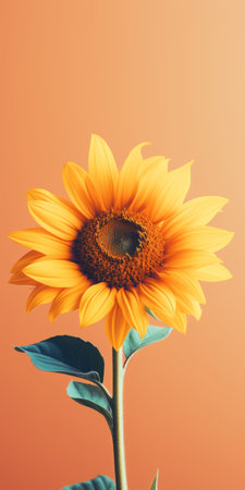 a vibrant sunflower with a small leaf stands tall against a yellow background, showcasing the intricate details and realistic rendering style reminiscent of zbrush and beeple. the image captivates with its combination of light pink and dark orange hues, creating a stunning and hyper-detailed portrayal. this uhd image by flora borsi is truly a breathtaking display of natural beauty. ai generatedの素材
