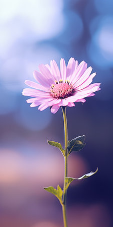 a pink flower on a stem, showcasing vray tracing techniques by marguerite blasingame. the soft color blending creates a mesmerizing effect on this uhd image. the light sky-blue and dark violet hues add depth and contrast to the digital art masterpiece, crafted using advanced techniques by maximilian pirner. ai generatedの素材
