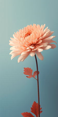 a minimalist mobile wallpaper showcasing a stunning chrysanthemum in sharp focus against a beautifully blurred background. this high-grade wallpaper is specifically designed for samsung q80t, offering a visually captivating and elegant addition to your device's screen. ai generatedの素材