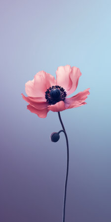 a small red poppy flower stands out against a vibrant pink and blue background in this photorealistic surrealism image. the light pink and dark gray tones create a detailed character design, while the use of kodak plus-x film adds a bold yet graceful touch. the image is rendered with vray tracing, resulting in a non-representational masterpiece. ai generatedの素材