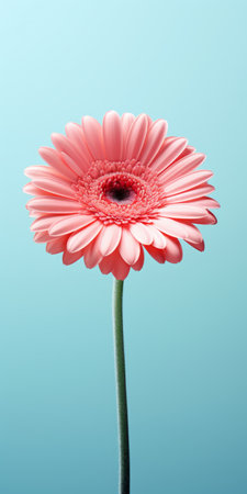a minimalist mobile wallpaper showcasing a stunning gerbera in sharp focus against a beautifully blurred background. this premium and lg zx compatible wallpaper exudes elegance and simplicity, making it the perfect choice for those seeking a refined and sophisticated aesthetic. ai generatedの素材