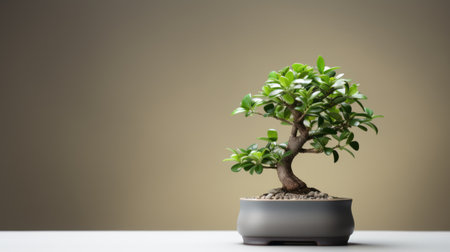 a small potted bonsai tree sits on a table, showcasing smooth curves and a combination of light green and gray hues. the petcore material adds a touch of elegance, while vignetting enhances the overall aesthetic. the precisionist lines give it a crisp and clean look, embodying a bold traditional style. ai generatedの素材