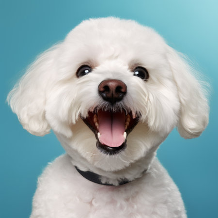 a white dog with exuberant and lively facial expressions is staring into the camera in a lighthearted studio portrait. the style of the photo is reminiscent of the associated press, with a touch of dark comedy. the dog's light teal background adds a vibrant and playful element to the image. ai generatedの素材