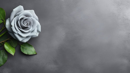 white rose on canvas with fresh green leaves, isolated on grey background. photoshop-edited image in a dark gray and blue style. ceramic and minimalistic metal sculptures in dark gray complement the elegant clothing. perfect for websites or concrete displays. ai generatedの素材