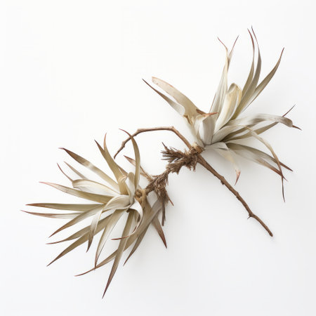 a branch adorned with a white air plant is captured in this hyperrealistic still life photograph. the symmetrical chaos of the sculptural paper constructions adds an element of dark beige and silver tones. the angura kei influence is evident in the unapologetic grit and natural beauty of the composition. ai generatedの素材
