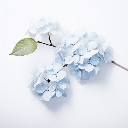 blue flowers on paper, showcasing minimal retouching and delicate sculptures. these meticulous photorealistic still lifes embody the essence of japanese minimalism. captured with a fujifilm natura 1600, the light gray background adds a touch of romantic honesty to the composition. ai generatedの素材