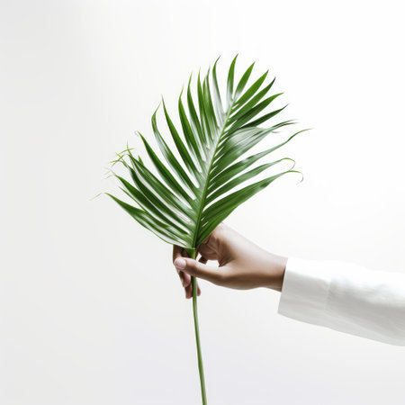 a woman gracefully holds a palm leaf against a clean white background, embodying the essence of japanese minimalism. this floral still-life captures the dynamic energy of environmental activism and the vibrant aesthetics of junglecore. inspired by artists like carsten holler, the image showcases exacting precision in its composition. ai generatedの素材