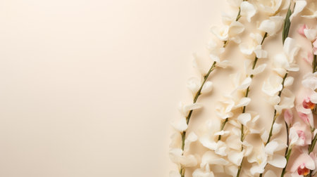 white orchid branches arranged on a gray background in a minimalist color field style. the image features light beige and beige tones, bold chromaticity, and a shallow depth of field. it also includes decorative borders and is a high-definition nature-inspired installation. ai generatedの素材