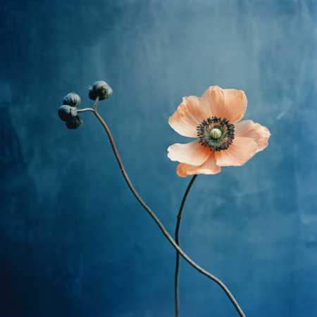 a blue flower stands out against a black background in this captivating photograph. the contemporary realist portrait photography style combines light orange and sky-blue hues, creating a vintage-inspired still life. shot with kodak tmax p3200 film, the image showcases a spectacular backdrop, reminiscent of revived historic art forms. this national geographic photo captures the essence of beauty and artistry. ai generatedの素材