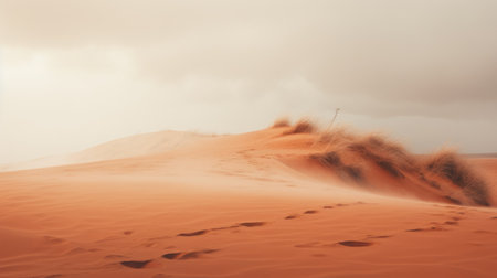 dune dunes from the sahara in rio de janeiro, brazil, captured in the atmospheric and moody style of jessica rossier. this uhd image showcases the light red and beige tones of the dunes, with a shallow depth of field and sparse backgrounds, creating a captivating and evocative landscape. ai generatedの素材