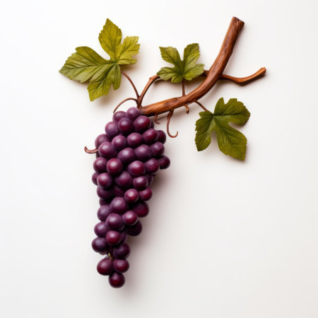 a bunch of grapes hanging on a white plate, captured in a hyper-realistic still life style. the grapes, made of vines, showcase minimal retouching, highlighting their natural beauty. the colors of the grapes range from deep purple to maroon, creating an eye-catching contrast. the image is captured using fujifilm velvia, enhancing the vibrant tones. the composition is simplified, focusing solely on the grapes and theの素材
