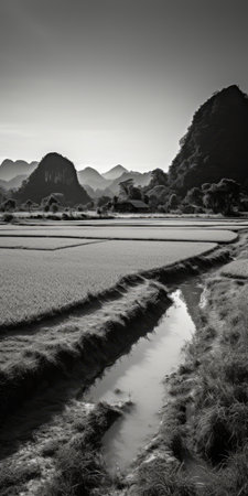a black and white photo capturing the beauty of rice fields and a creek, reminiscent of mountainous vistas. the image showcases a vibrant play of light and shadow, with jagged edges adding a touch of dynamism. the harmonious color fields evoke a sense of tranquility. this stunning photograph is in the style of renowned artists duy huynh and stephen shortridge, captured using a nikon af600.の素材