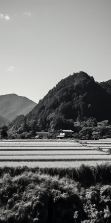 rice fields, reminiscent of kenro izu's style, stand out against a black and white background. the photo captures the beauty of vernacular architecture and soft color fields. taken with a nikon d750 and tokina opera 50mm f/1.4 ff lens, it showcases mountainous vistas in a captivating way. ai generatedの素材