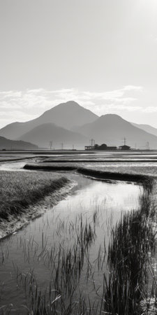mountains rise majestically above a lush wet field of grass in this captivating black and white photograph. inspired by japanese minimalism, the image captures the essence of lively coastal landscapes with a touch of traditional craftsmanship. a national geographic-worthy shot, it showcases the reflective beauty of industrial landscapes. ai generatedの素材