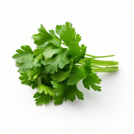 fresh parsley leaves on a white background, showcasing the vibrant green color and delicate texture. this visually stunning image captures the essence of vfxfriday, grandparentcore, absinthe culture, yervand kochar, daniel jaems, chuah thean teng, and innovative aesthetics. ai generatedの素材