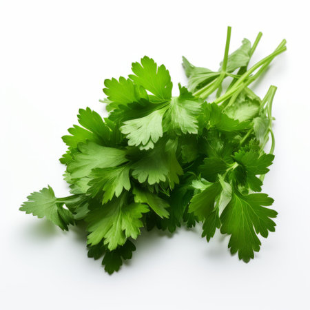 parsley leaf isolated on white background, showcasing the innovative techniques of vfxfriday. this glorious and organic image captures the essence of karencore's style, with vibrant colors reminiscent of velvia. a perfect addition to any hispanicore-inspired project. ai generatedの素材