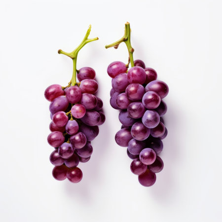 two plump purple grapes, captured in the style of irving penn, stand out against a clean white background in this stock photo. the clever juxtapositions and chromatic saturation create a visually striking image. this minimalist photography, processed using cross-processing techniques, is available under a creative commons attribution license. shot with a sony alpha a7 iii. ai generatedの素材