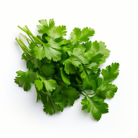 parsley, a vibrant green herb, is showcased on a white background in this isolated image. captured with the zeiss batis 18mm f2.8 lens, the photo features a creative commons attribution style. with a resolution of 32k uhd, the tilt-shift photography highlights the intricate details of the parsley. this image is also associated with hispanicore and the absinthe culture. ai generatedの素材
