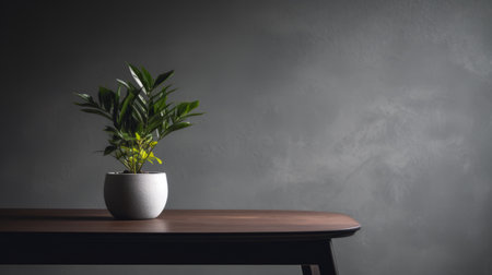 a minimalist-style photo featuring a plant in a small white pot on a table against a dark wall. the background is in shades of dark gray and gray, creating a sleek and modern aesthetic. this high-resolution uhd image showcases american mid-century design elements, with a color palette of dark brown and gray. the eco-friendly craftsmanship and the use of fujifilm pro 400h film add toの素材