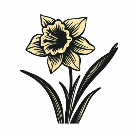 a daffodil linocut woodcut print featuring thick black outlines, beautifully isolated on a clean white background. this captivating artwork showcases the delicate beauty of a daffodil, capturing its essence with precision and artistic flair. ai generatedの素材