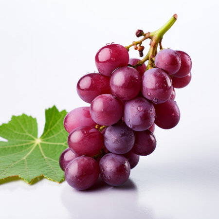 fresh grapes and a large green leaf are arranged in a minimal retouching style on a white background. the light purple and crimson colors of the grapes stand out, creating a visually appealing composition. this image showcases the artistry of kimoicore, wimmelbilder, focus stacking, and dansaekhwa techniques. ai generatedの素材