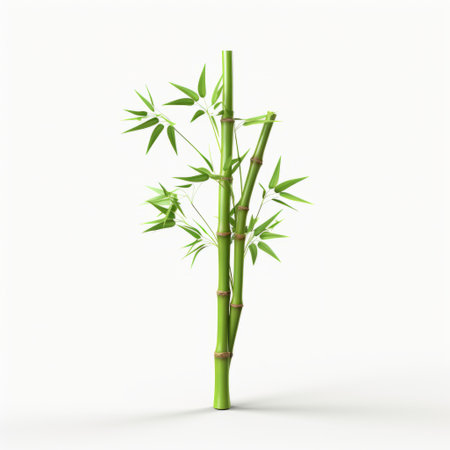 a single green bamboo stalk, rendered in a photorealistic style, stands gracefully on a white background. inspired by three-dimensional puzzles and the works of chen zhen, this illustration captures the beauty of natural scenery. with its simplicity and vibrant colors, it resembles the colorful illustrations of francois boquet. the frequent use of diagonals adds an intriguing visual element to this captivating image. ai generatedの素材