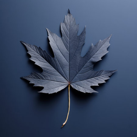 a black maple leaf stands out against a black background, creating a striking contrast. this nature-inspired composition, reminiscent of national geographic photos, features a minimalistic surrealism style with light gray and navy tones. the use of vray tracing enhances the details, while colorful woodcarvings add an artistic touch to the image. ai generatedの素材