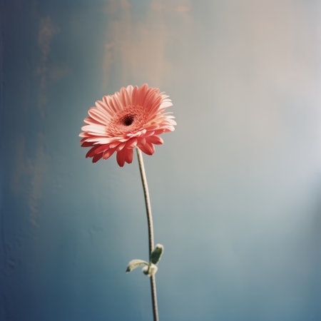 pink flower on a tripod against a dark wall, featuring a whimsical subject matter in the style of light sky-blue and light brown. this minimalist photograph is available under creative commons attribution license. it showcases a combination of light red and dark aquamarine tones, creating an inspirational atmosphere with hints of light orange and gray. ai generatedの素材