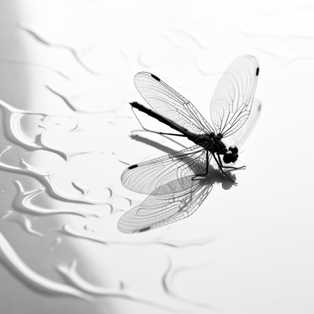 a dragonfly gracefully perches on the water's surface in this stunning photograph by alastair magnaldo. the light white and black tones create a fluid and ethereal atmosphere, reminiscent of traditional japanese artistic techniques. with a shallow depth of field, the image captures the intricate details of the dragonfly's wings and the graceful curves of its body. this high-quality photo showcases the beauty of nature inの素材
