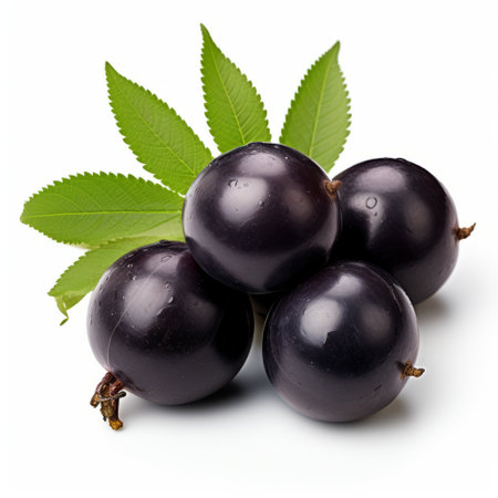 black currants with vibrant green leaves on a white background. the dark purple hue of the currants contrasts beautifully with the smooth and polished appearance. this nature-inspired image showcases the explosive pigmentation of the fruit, giving it a unique yankeecore and kimoicore aesthetic. the felinecore shapes add an intriguing touch to this captivating photo. ai generatedの素材