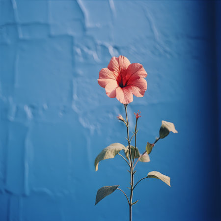 a blurry analog photograph captures the essence of a single petunia against a dark blue wall. the image exudes an analog vibe with its film grain and soft natural evening light. ai generatedの素材