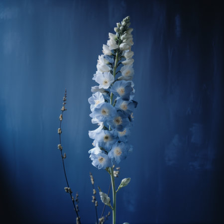 blue flower with two small leaves in front of a dark wall, captured in the style of elke vogelsang. the image showcases a light sky-blue hue against a contrasting dark white backdrop. this high-resolution uhd photo, reminiscent of lawrence alma-tadema's work, features cross processing techniques. it beautifully captures the essence of norwegian nature, making it a captivating addition to national geographic's collection. ai generatedの素材